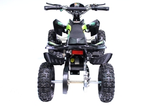 EL ATV GreenPower 800W_5
